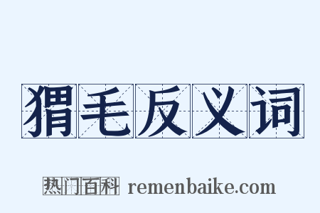 猬毛反义词是什么意思的图片